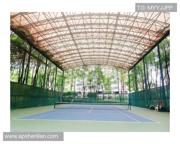 重庆网球队技术对比独家解析揭示球队优势与不足之处