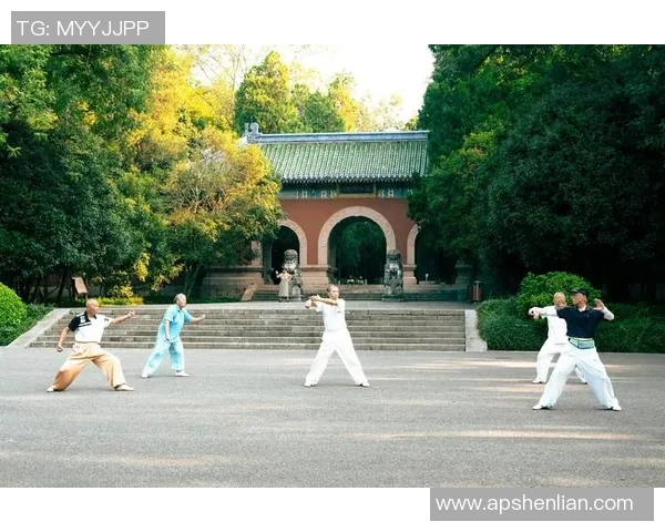 运动最新数据上海排球队速度分析与战术应用的深度探讨与研究