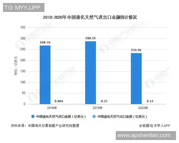 实时新闻数据分析液化天然气运输速度的全面评估与趋势研究